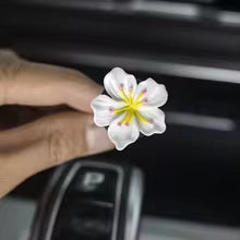 ChicPlates Air Fresheners - view 9