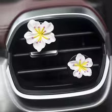 ChicPlates Air Fresheners - view 2