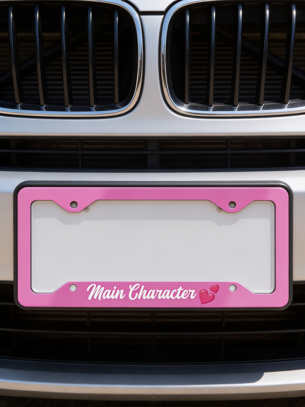 day 1 w/ my plate frame ♡